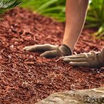 Mulch application for environmental benefits and terrain design