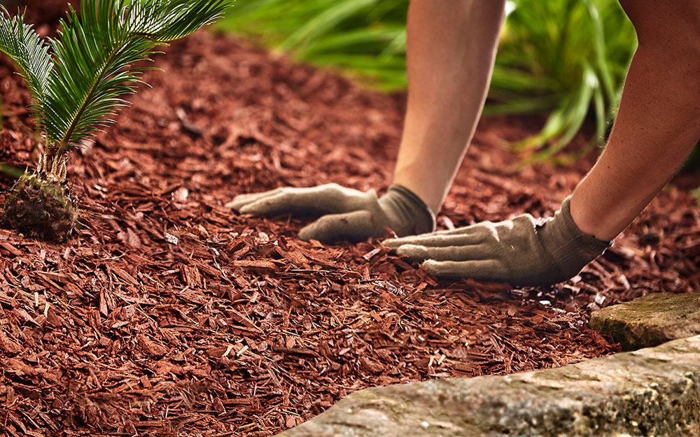 red mulch